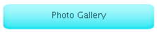 Photo Gallery